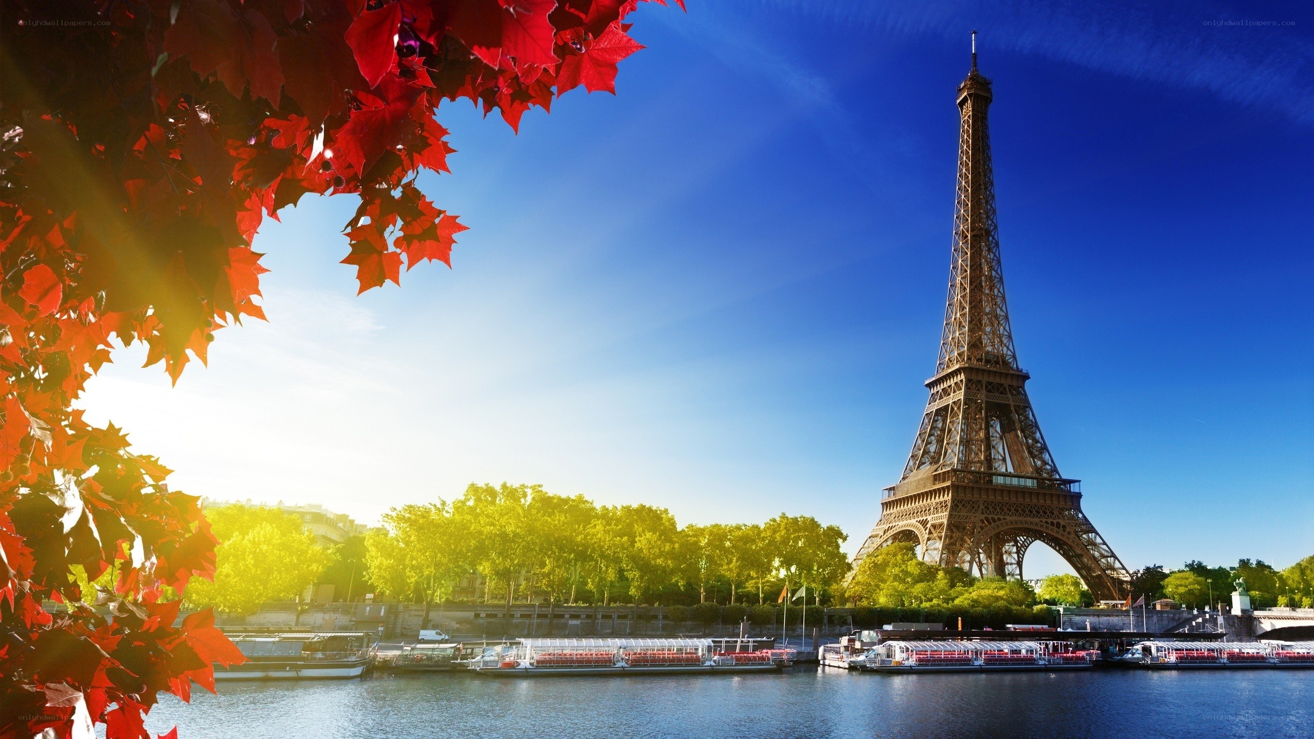 Eiffel Tower with autumn leaves