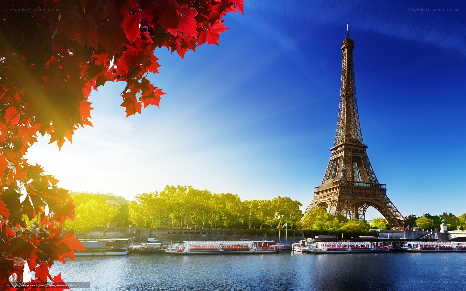 Eiffel Tower with autumn leaves