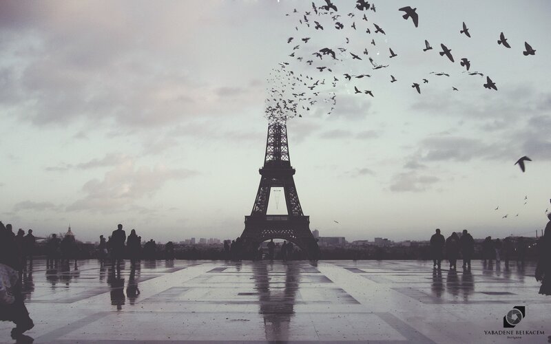 Eiffel Tower with Birds