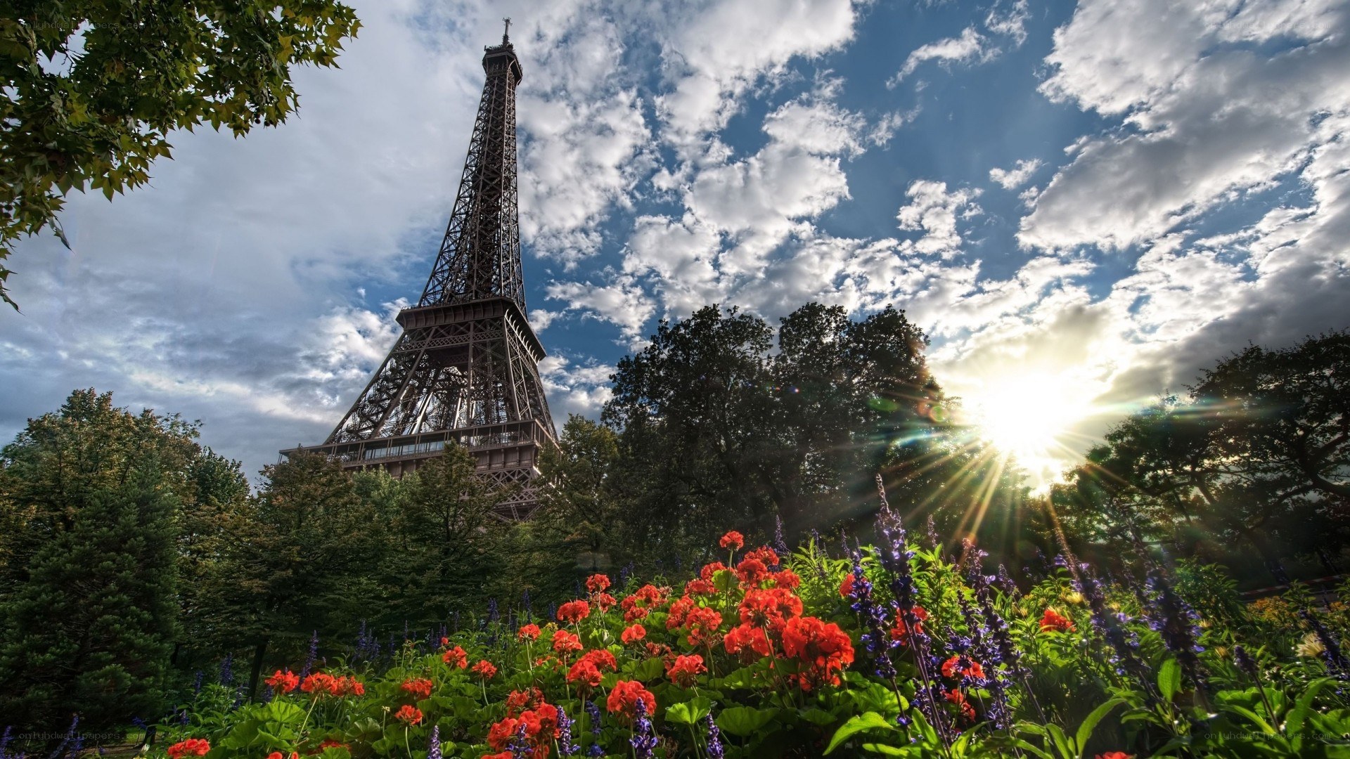Eiffel Tower with flowers