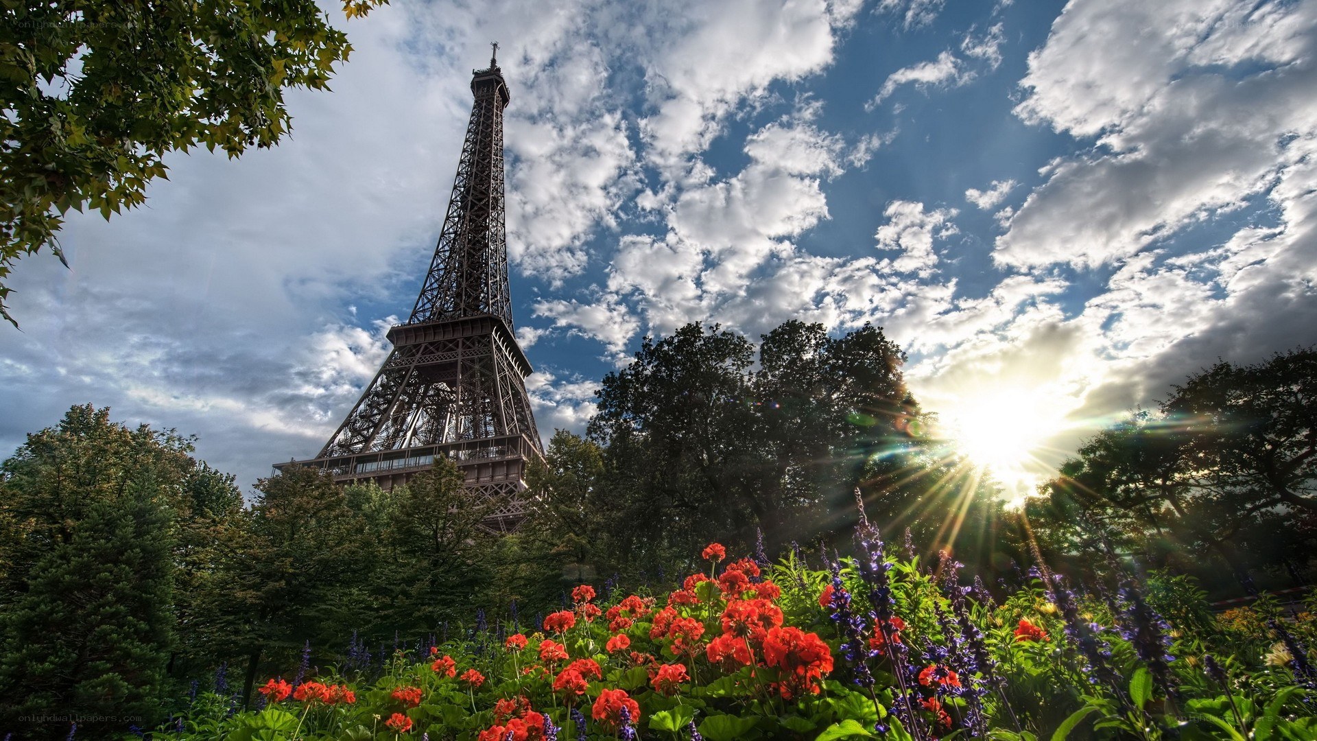 Eiffel Tower with flowers