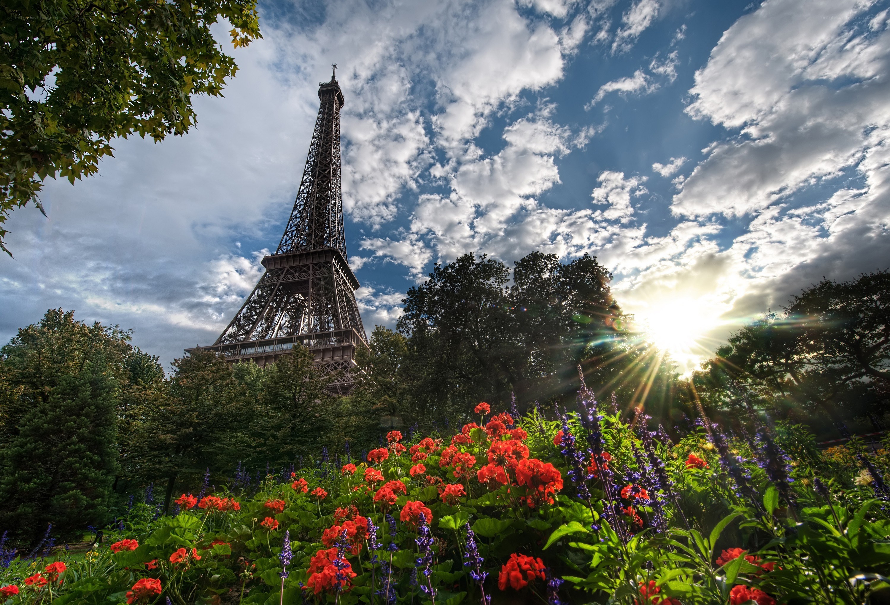 Eiffel Tower with flowers