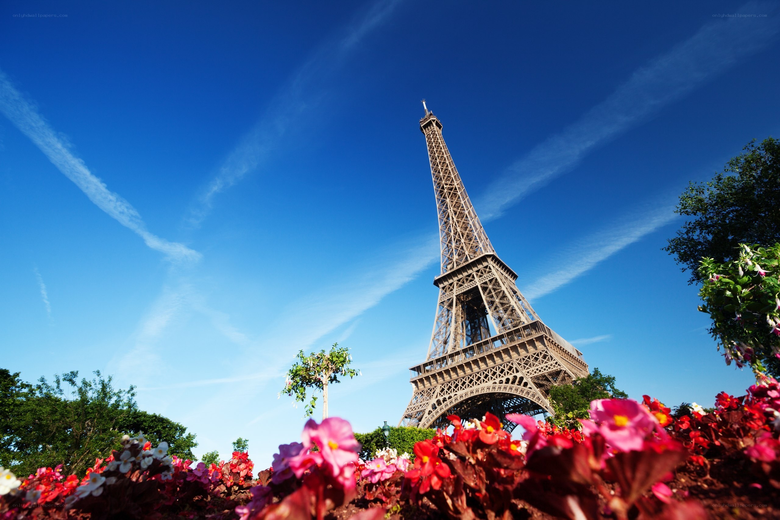 Eiffel Tower with flowers