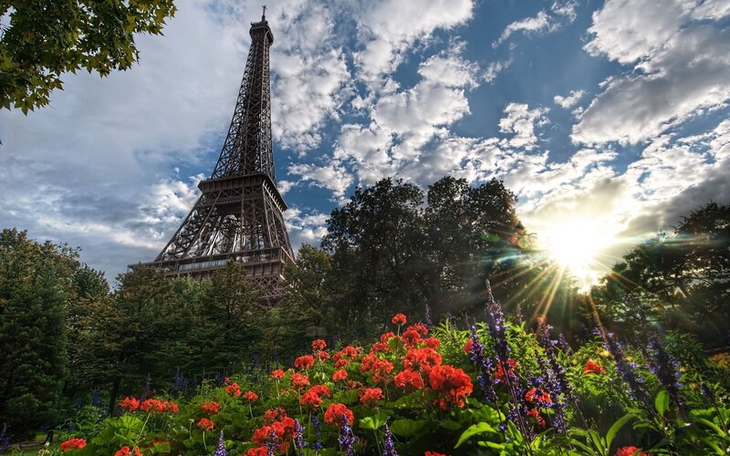 Eiffel Tower with flowers
