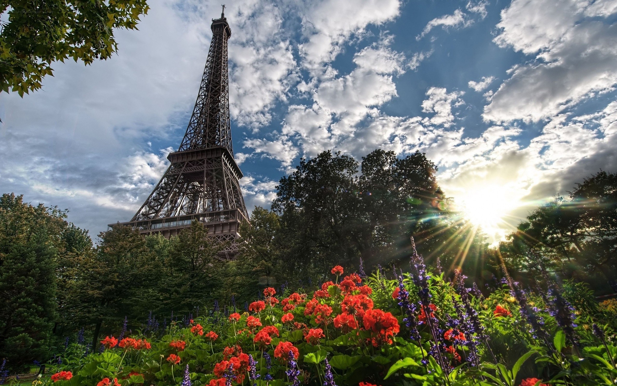 Eiffel Tower with flowers