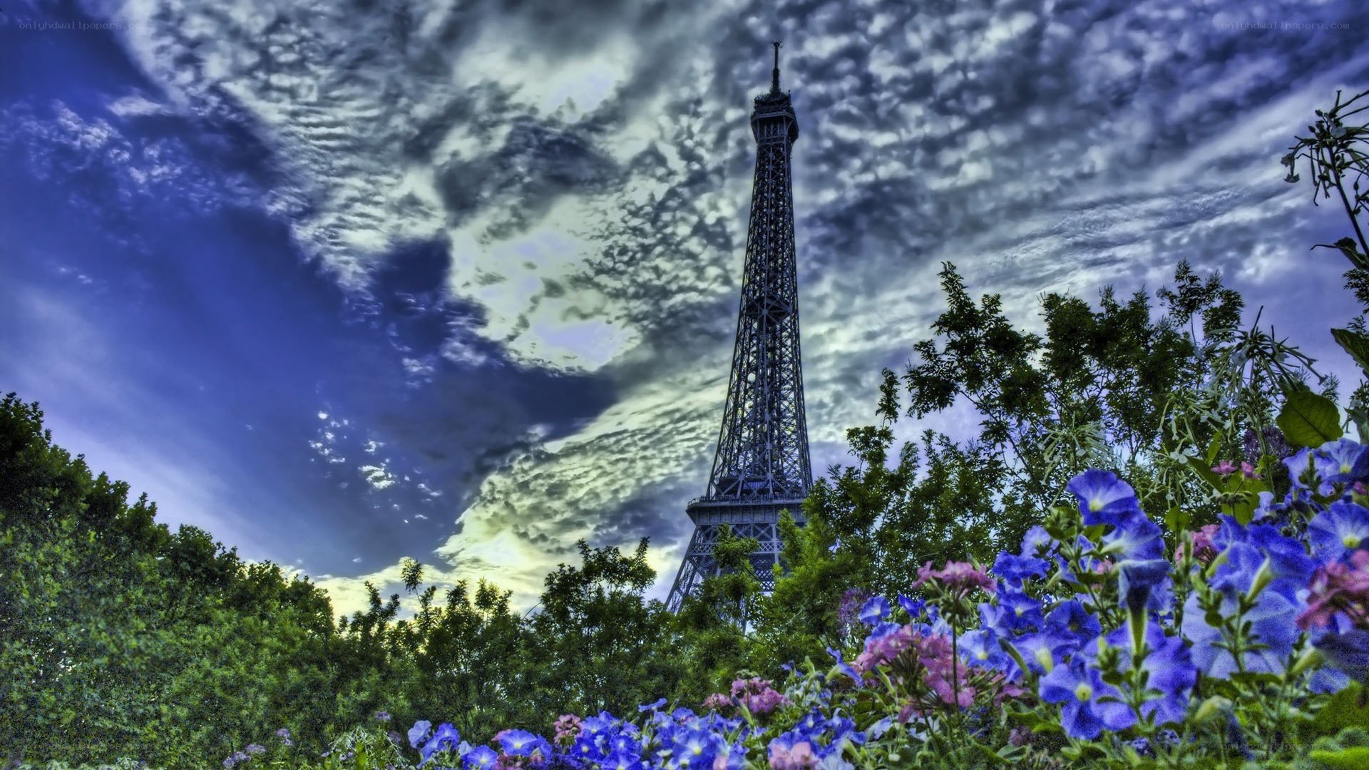 Eiffel Tower with flowers