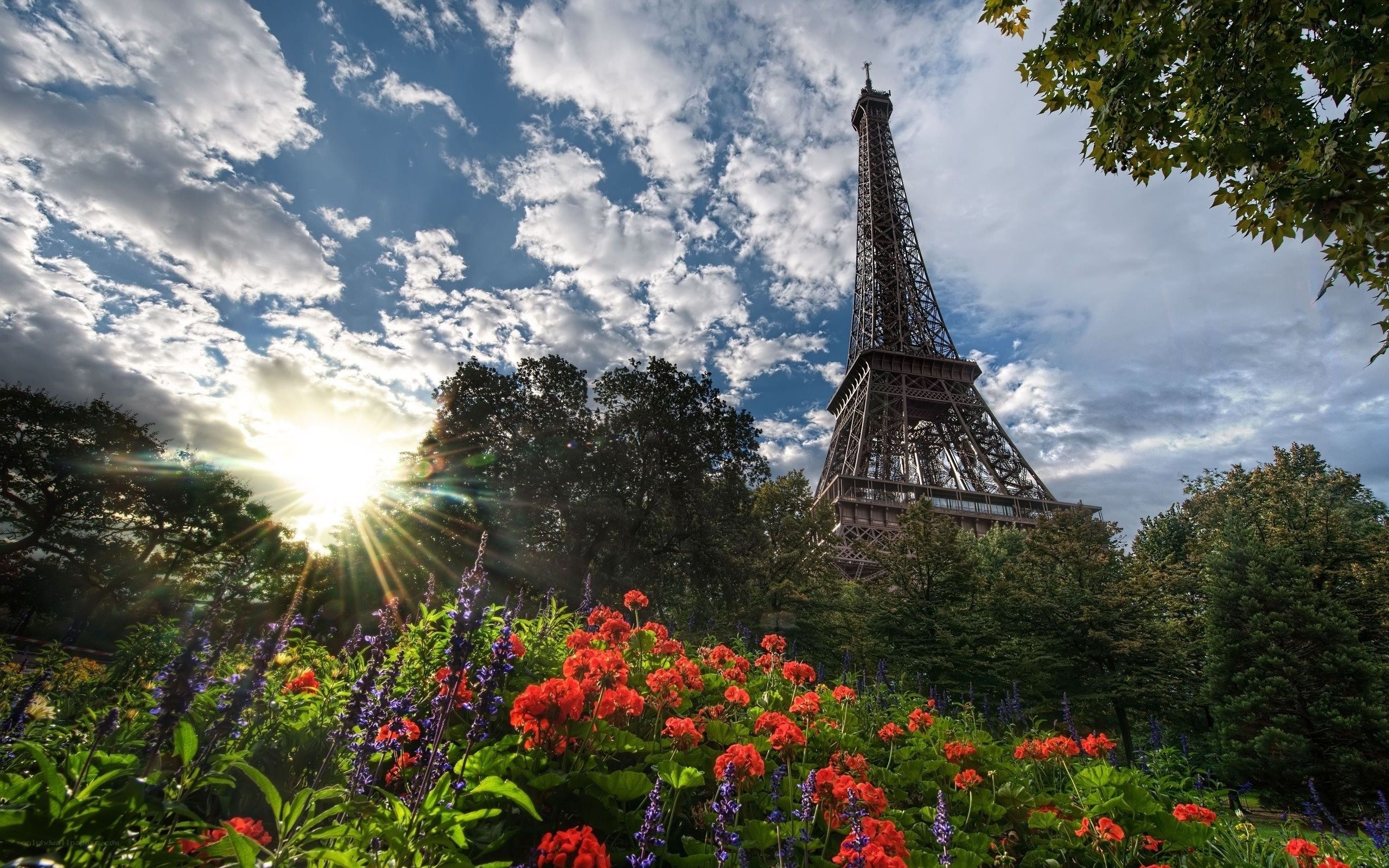 Eiffel Tower with flowers
