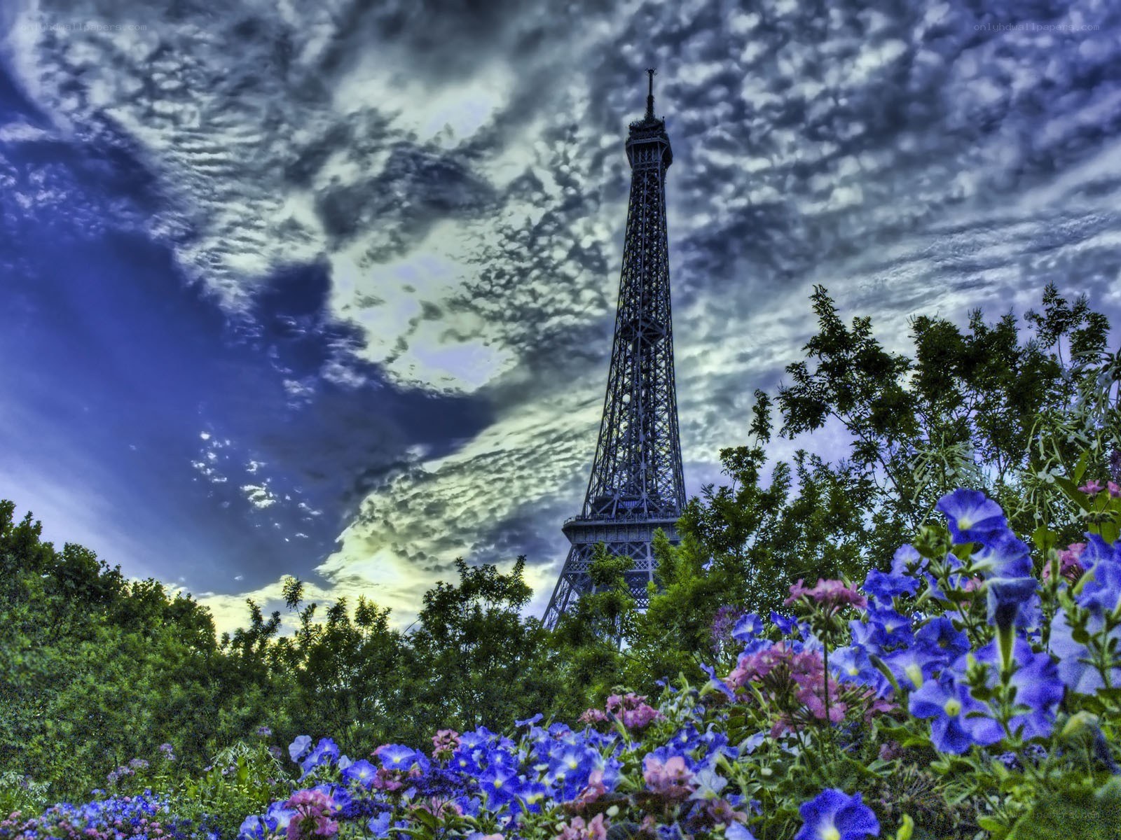 Eiffel Tower with flowers