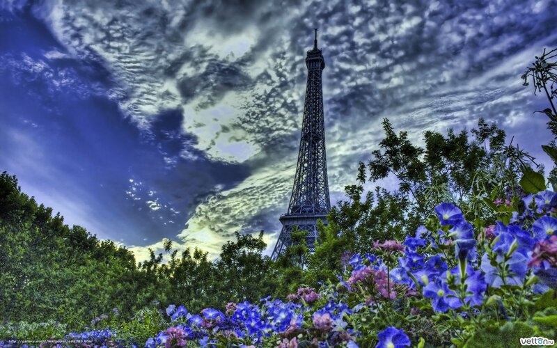 Eiffel Tower with Flowers — Blue, Dramatic, Afternoon