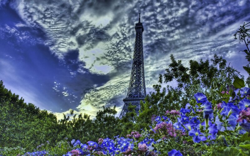 Eiffel Tower with Flowers — Blue