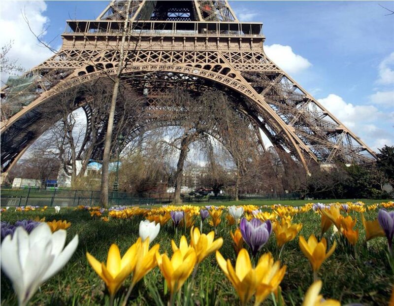 Eiffel Tower with spring flowers