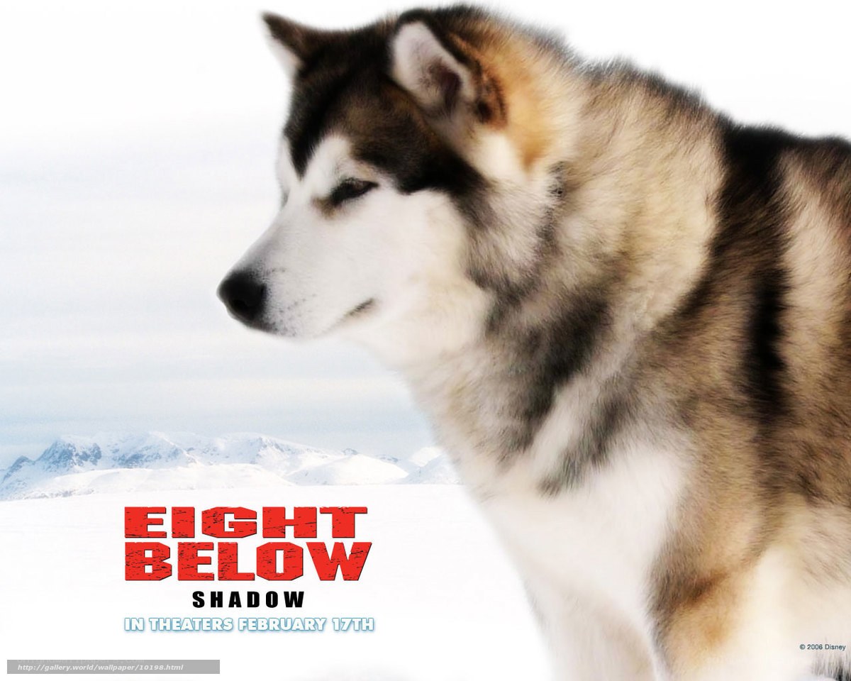 Eight Below movie poster