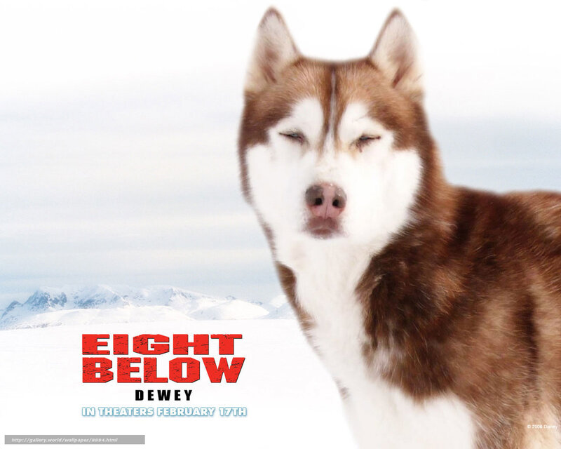 Eight Below movie poster