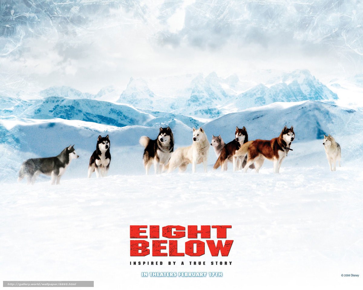 Eight Below movie poster
