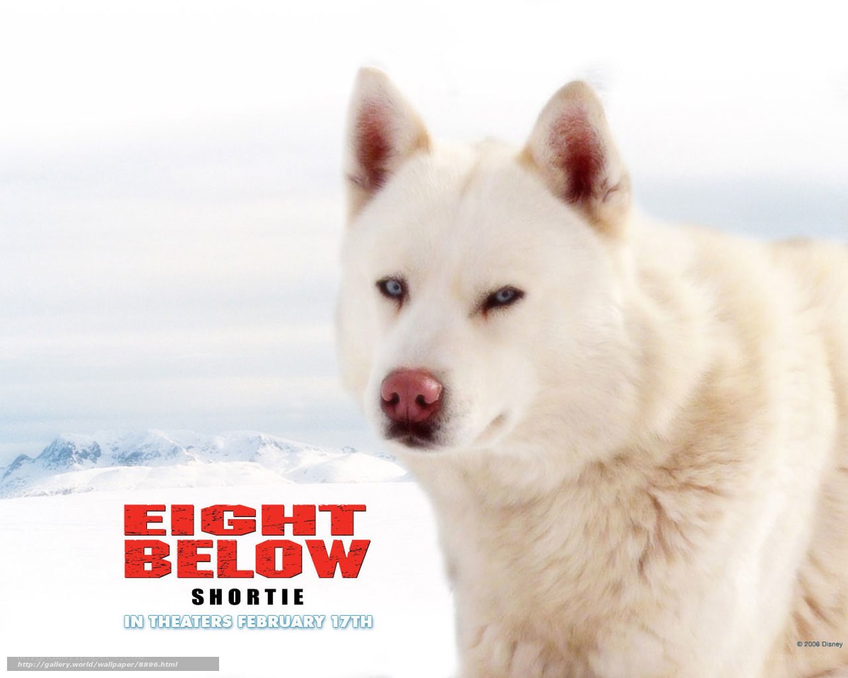 Eight Below movie poster