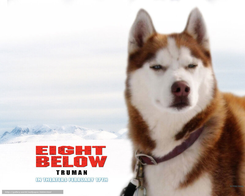 Eight Below movie poster
