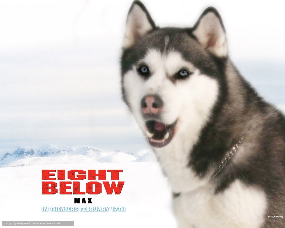Eight Below movie poster