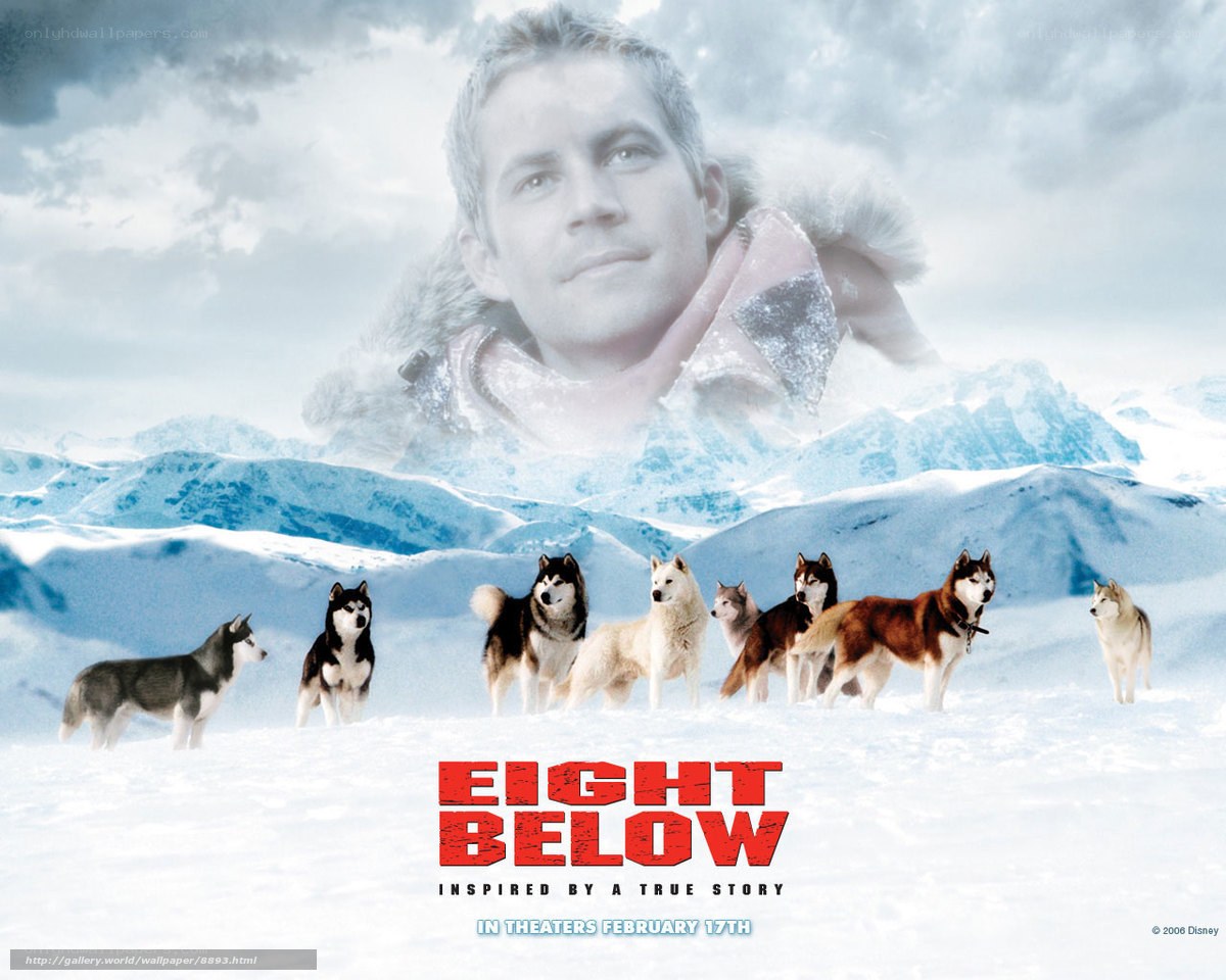 Eight Below movie poster