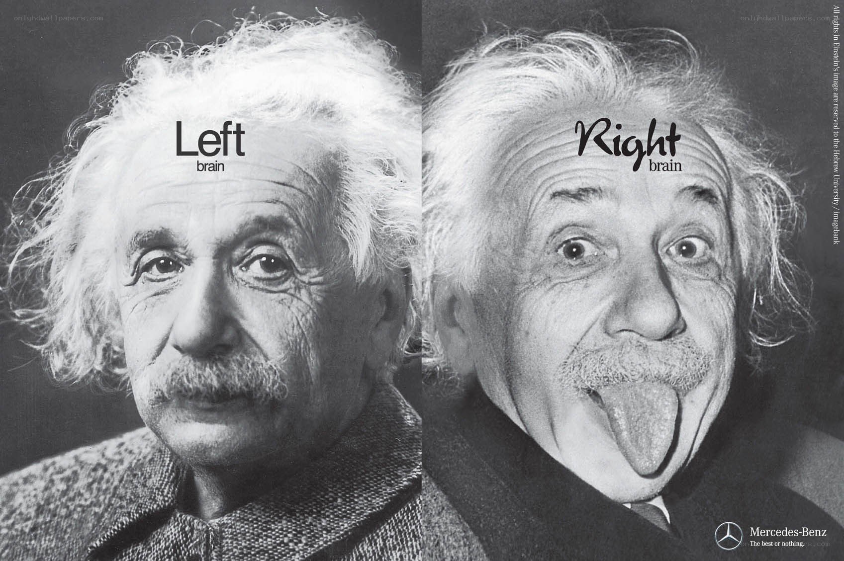 Einstein brain humor