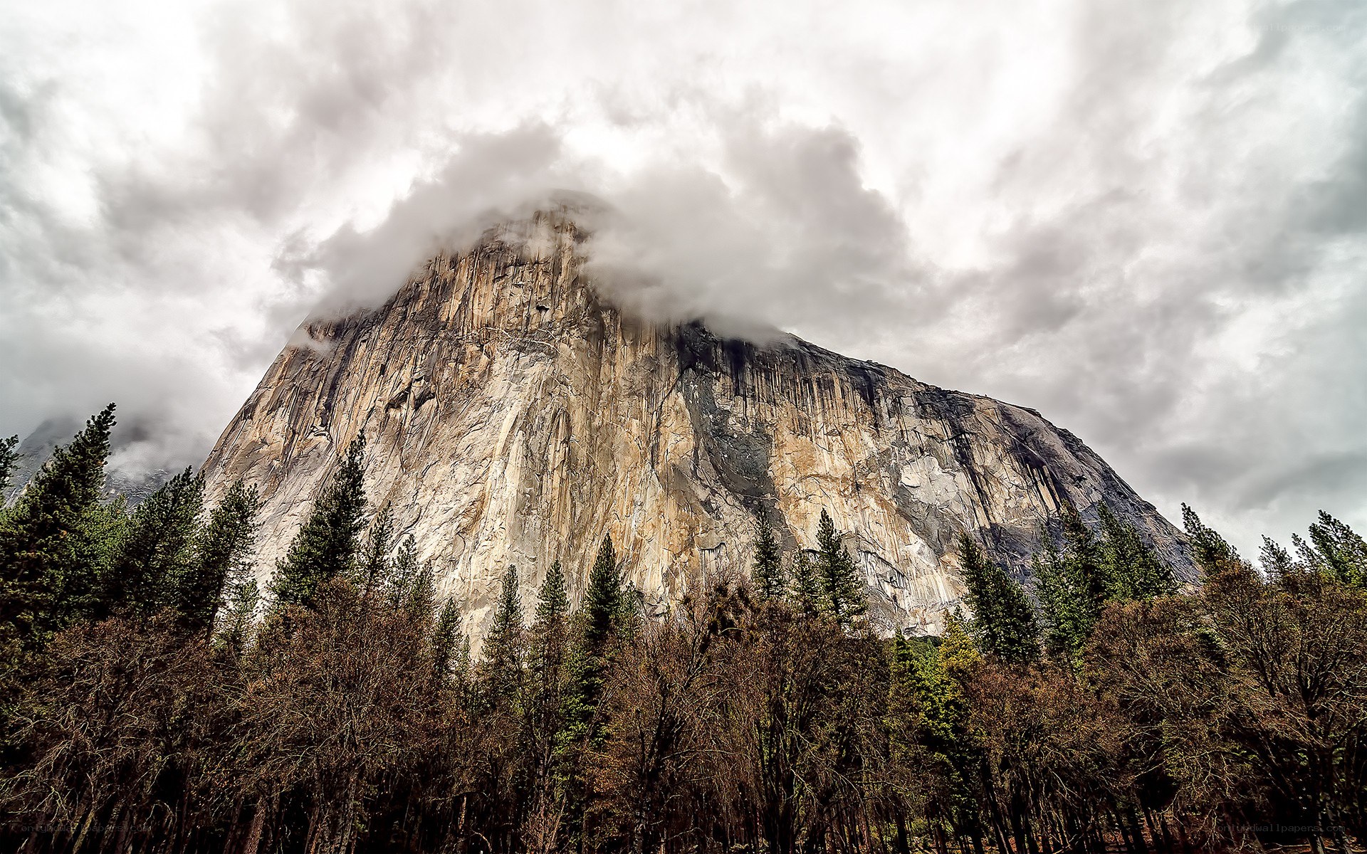 El Capitan in Yosemite