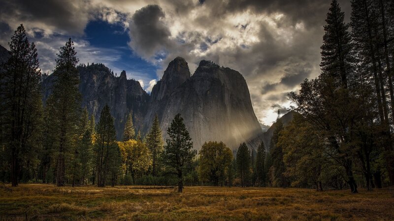 El Capitan in Yosemite — Brown, Dramatic