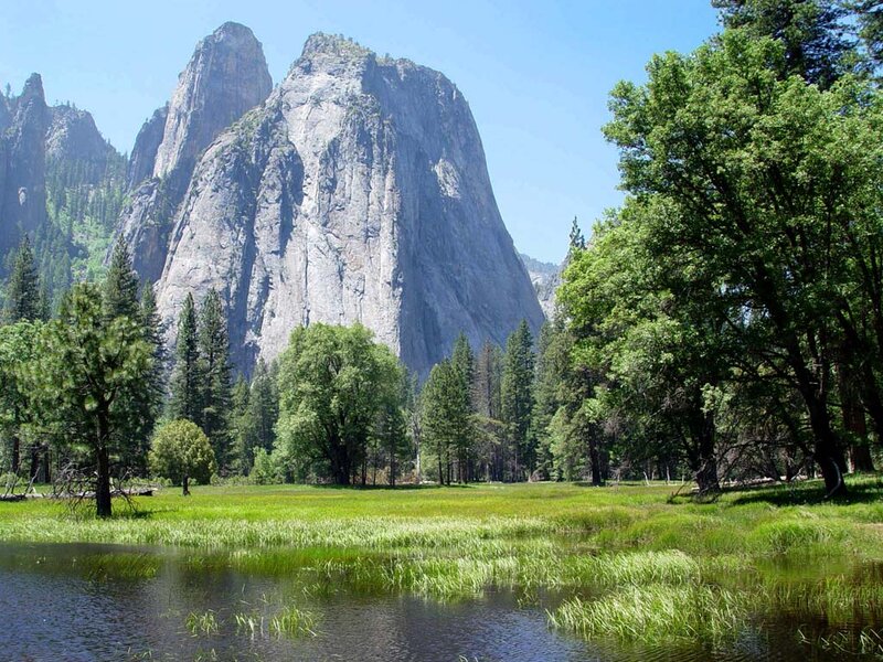 El Capitan in Yosemite — Green, Serene, Afternoon