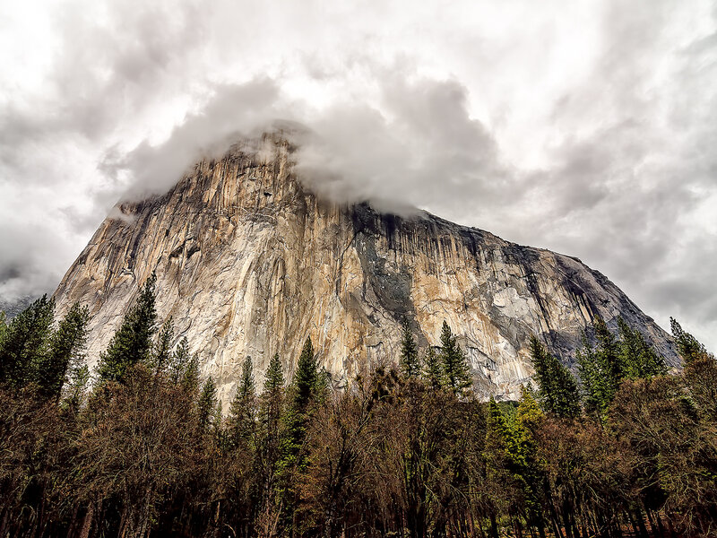 El Capitan Rock Formation — Gray, Dramatic, Photograph