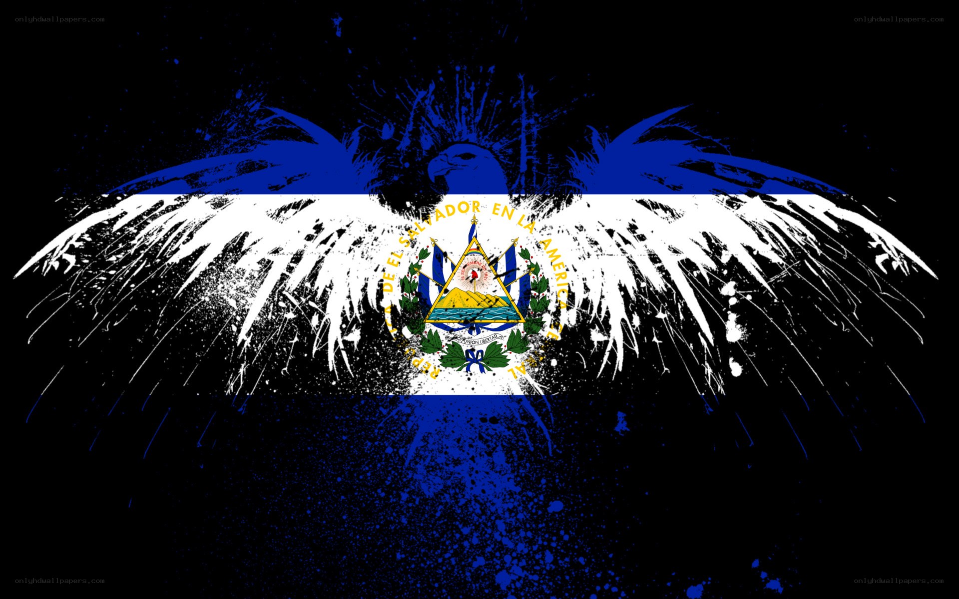 El Salvador flag with eagle wings