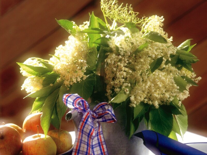 Elderflower Bouquet