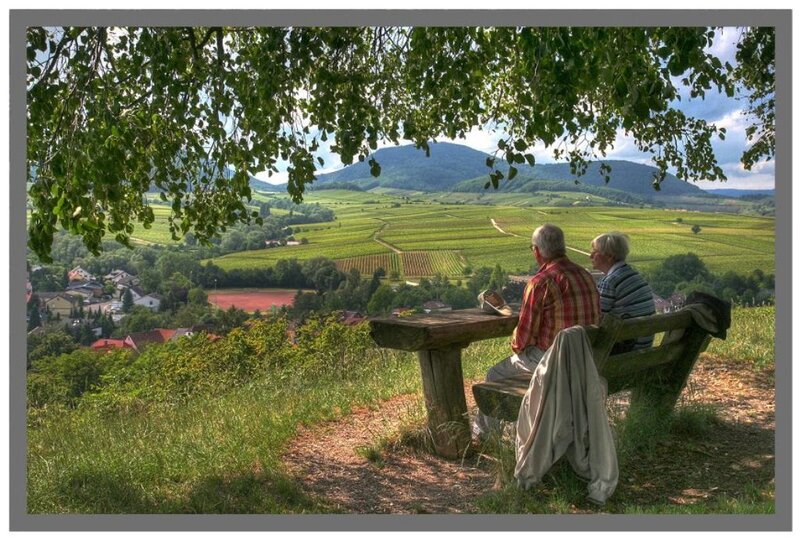 Elderly Couple on Bench — Green