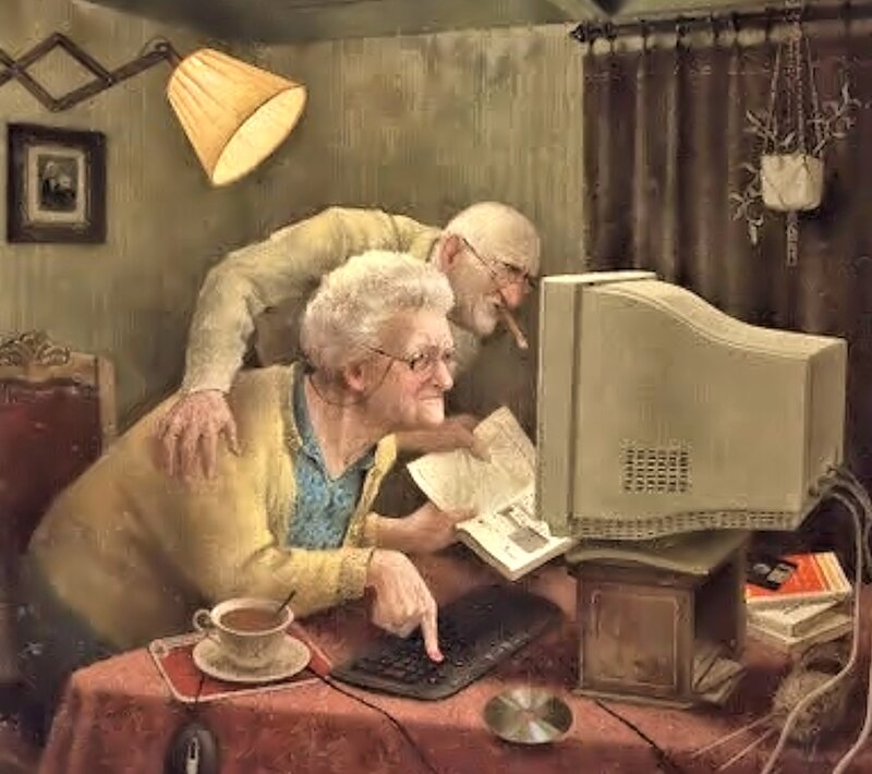 Elderly Couple Using Computer — Brown