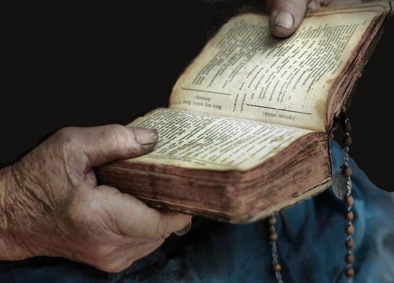 elderly hands holding a book