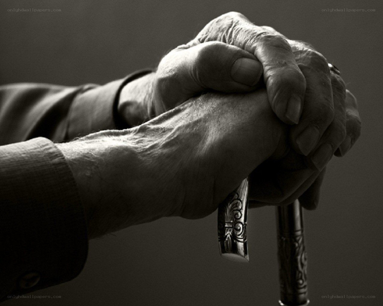 elderly hands holding a cane