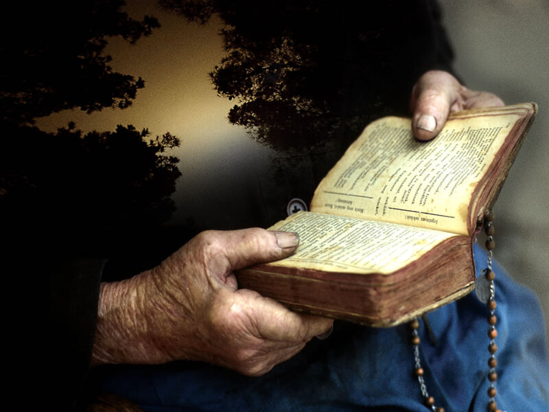 Elderly Hands Holding Book