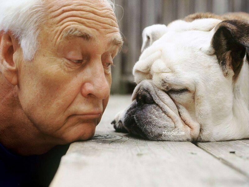 Elderly Man and Bulldog