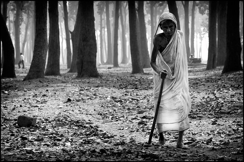 Elderly man in forest