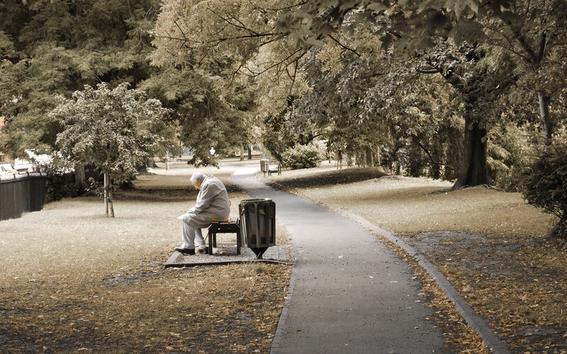 Elderly Man on Bench — Brown, Quiet
