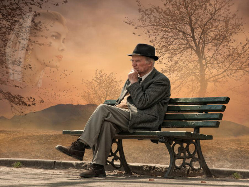 Elderly Man on Bench — Brown