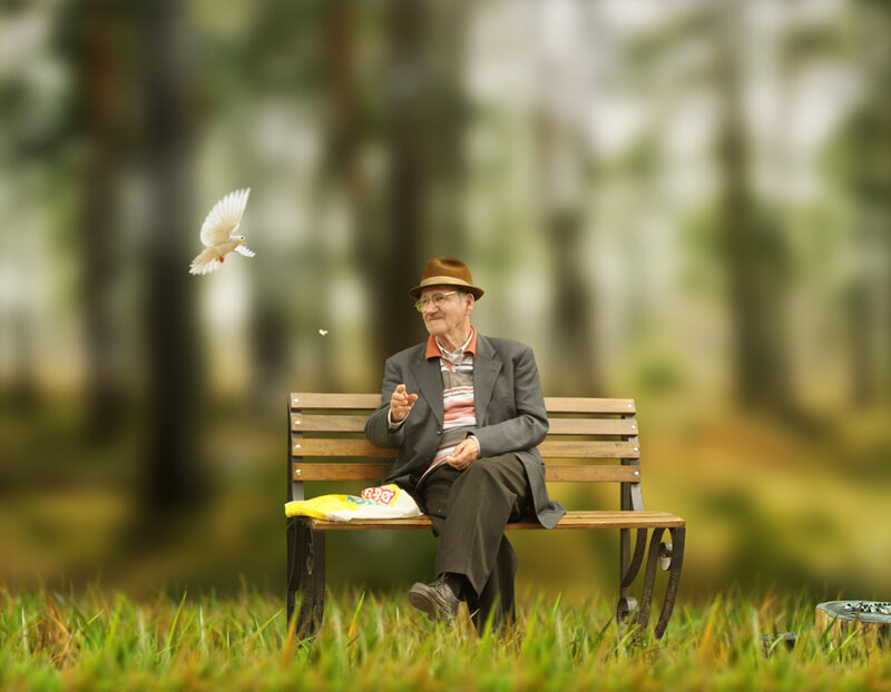 Elderly Man on Bench — Green