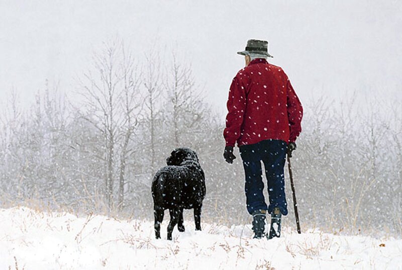 Elderly Man with Dog