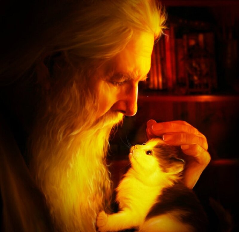 Elderly Man with Kitten