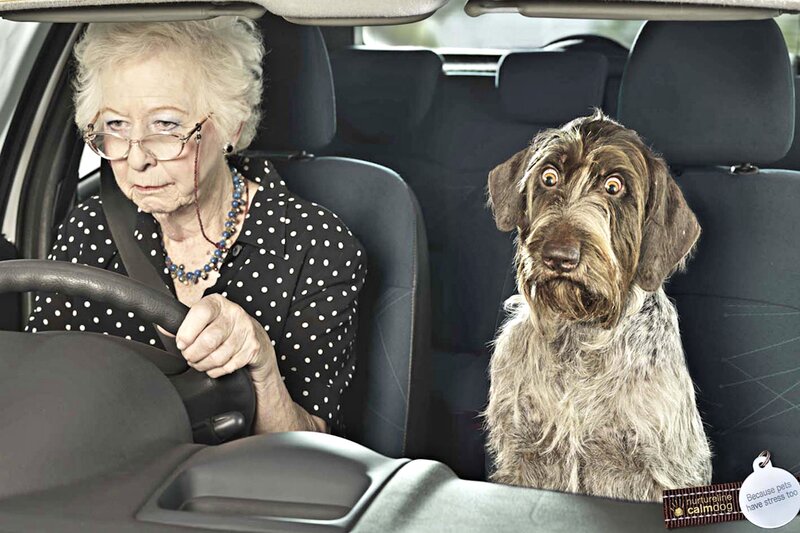 Elderly Woman Driving — Black