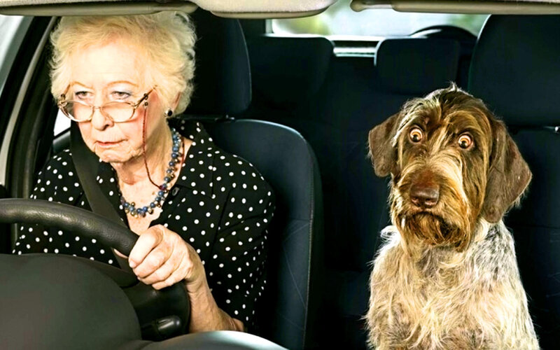 Elderly Woman Driving