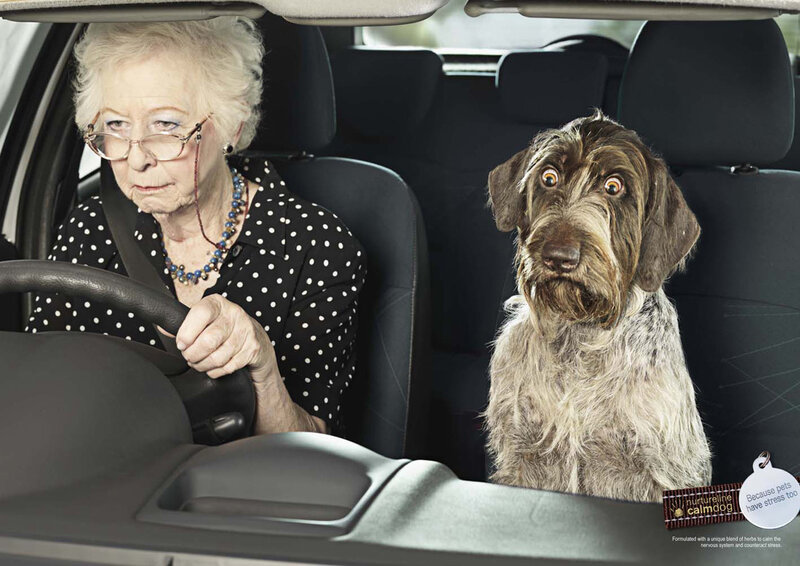 elderly woman driving with dog
