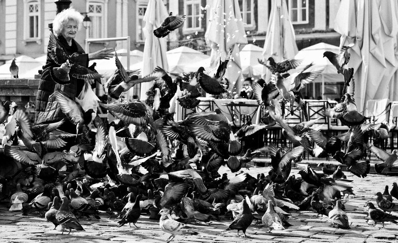 Elderly Woman Feeding Pigeons — Black