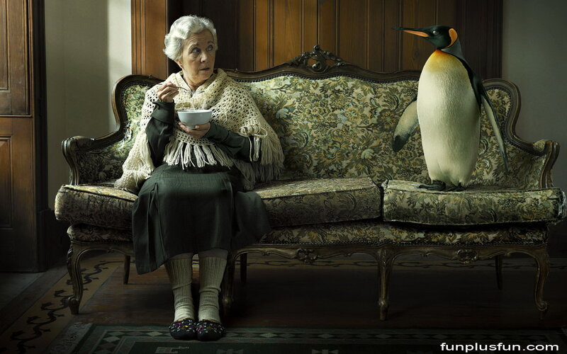 Elderly Woman with Penguin