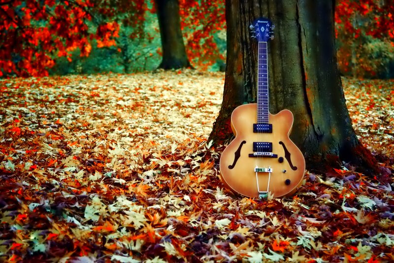 Electric Guitar Against Tree