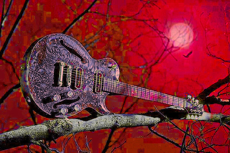 Electric Guitar on Branch