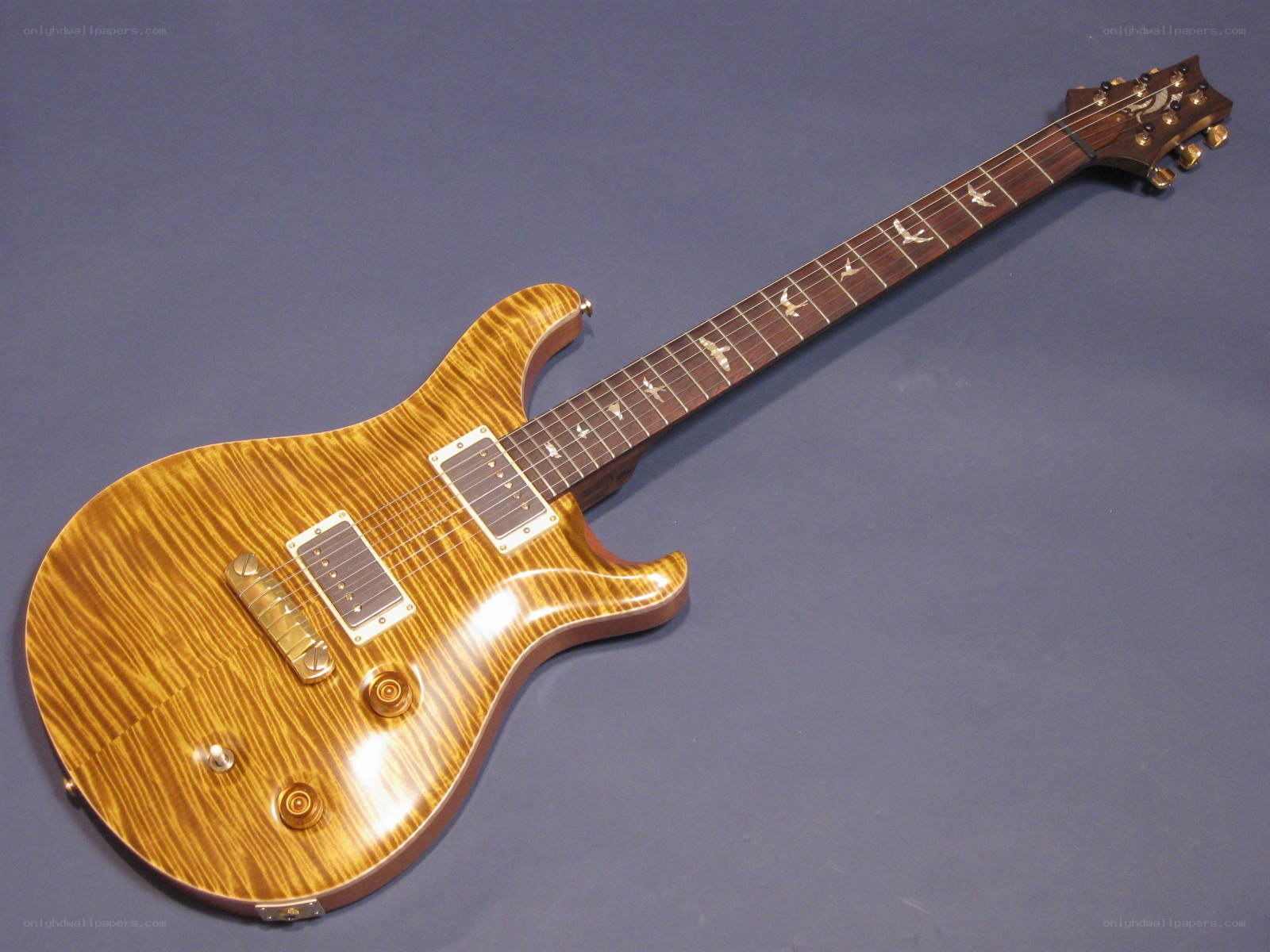 Electric guitar with bird inlays