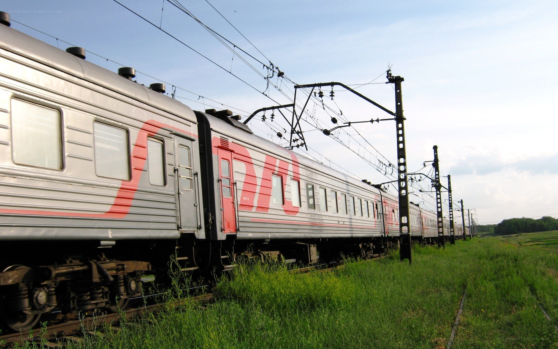 Electric train on a sunny day